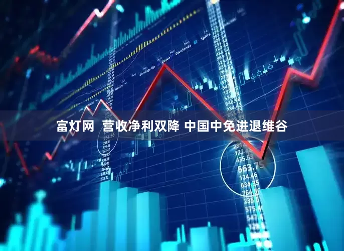 富灯网  营收净利双降 中国中免进退维谷